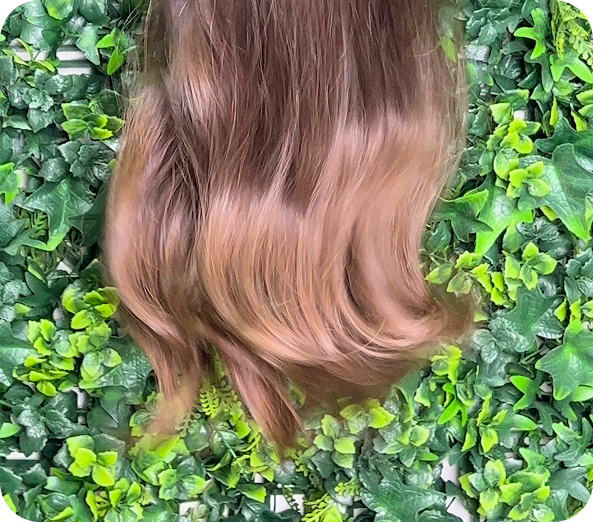 _imagen - 2025-11-19T093027.899